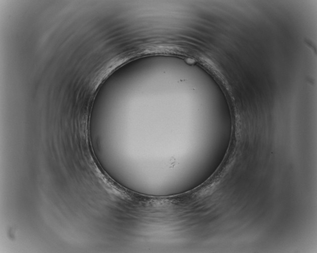 X0000099971041200806061625