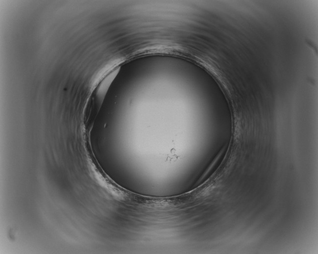 X0000099971042200806061625