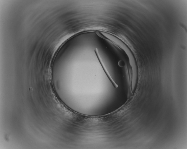 X0000099971044200806061625