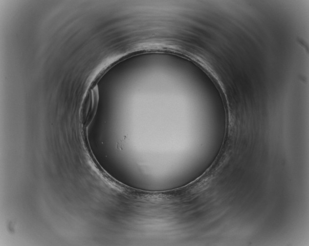 X0000099971045200806061625