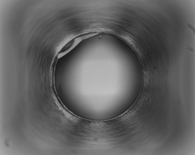 X0000099971046200806061625