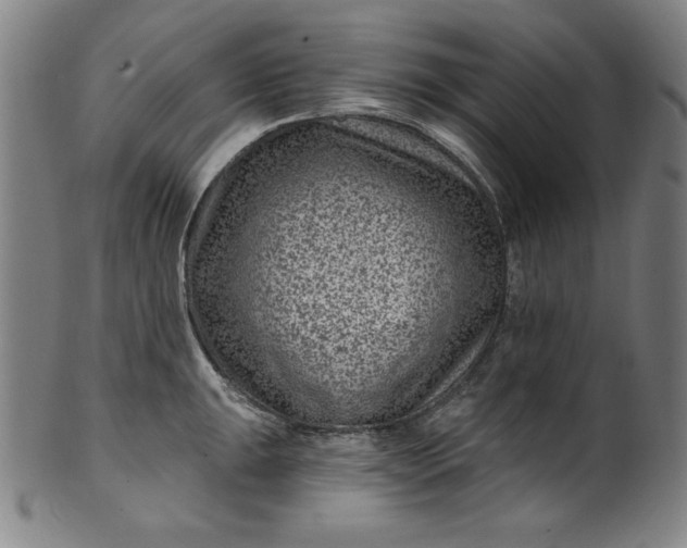 X0000099971047200806061625