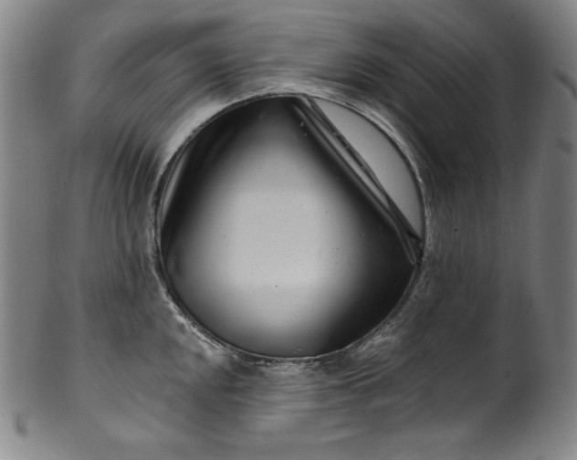 X0000099971048200806061625