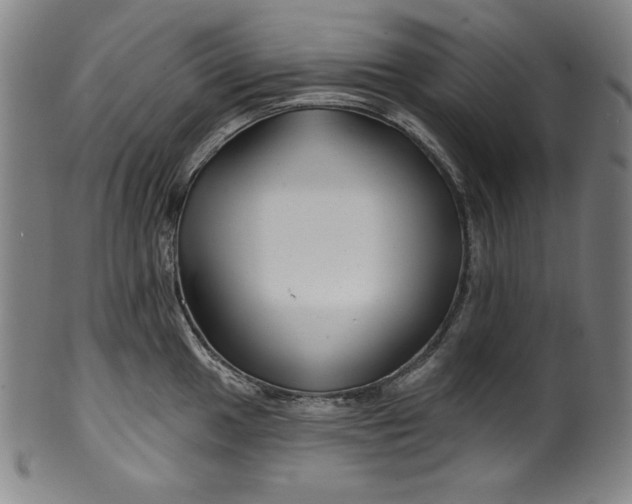 X0000099971049200806061625