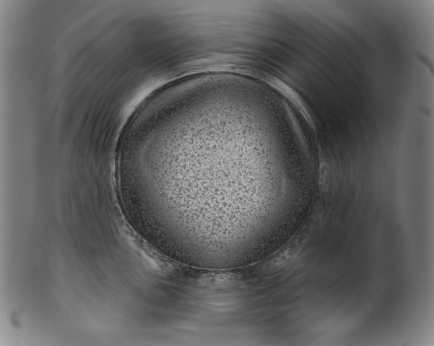 X0000099971051200806061625