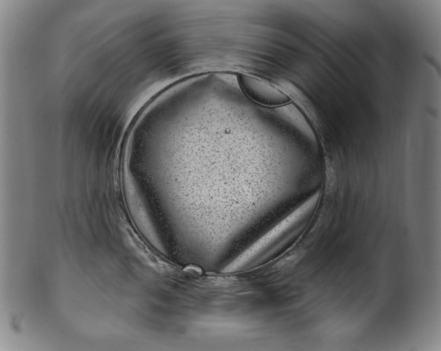 X0000099971052200806061625