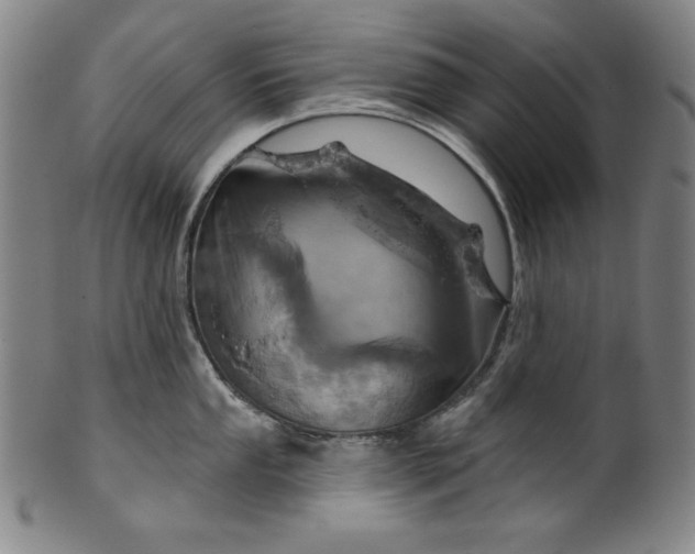 X0000099971053200806061625