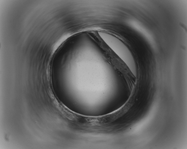 X0000099971054200806061625