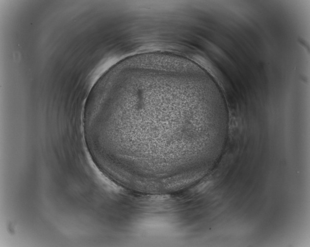 X0000099971055200806061625