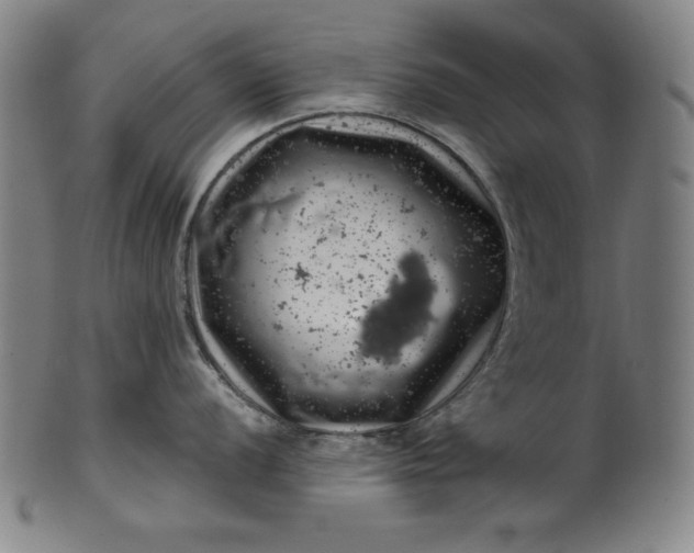 X0000099971056200806061625