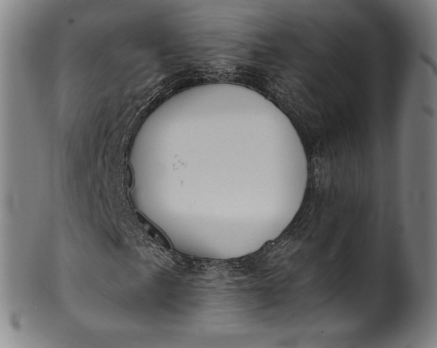 X0000099971057200806061624