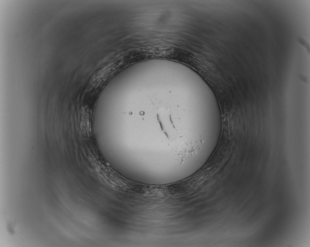 X0000099971058200806061624