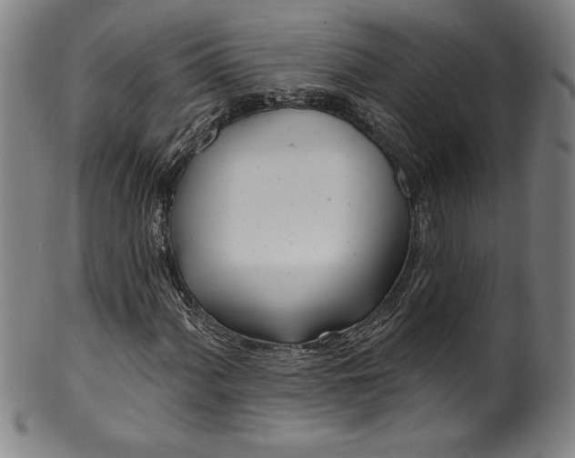 X0000099971060200806061624