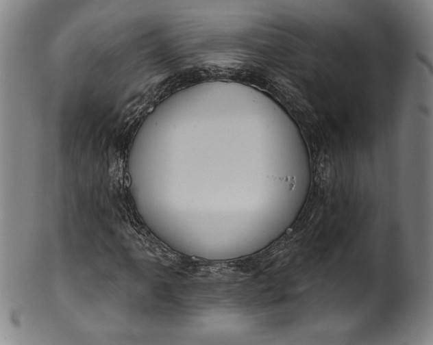 X0000099971061200806061624