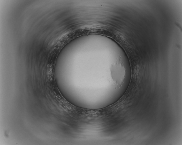 X0000099971062200806061624