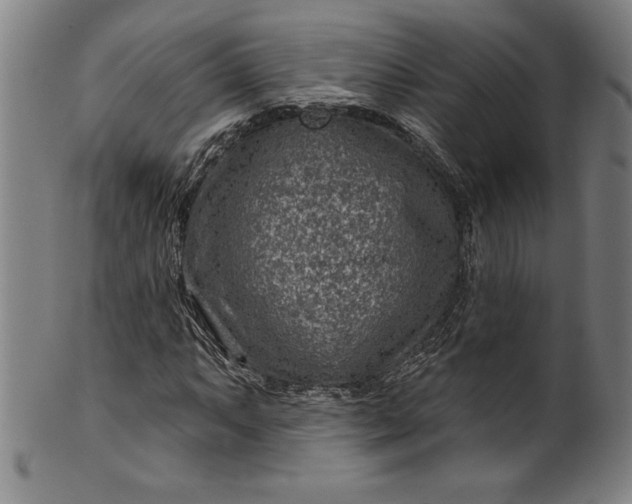 X0000099971063200806061624