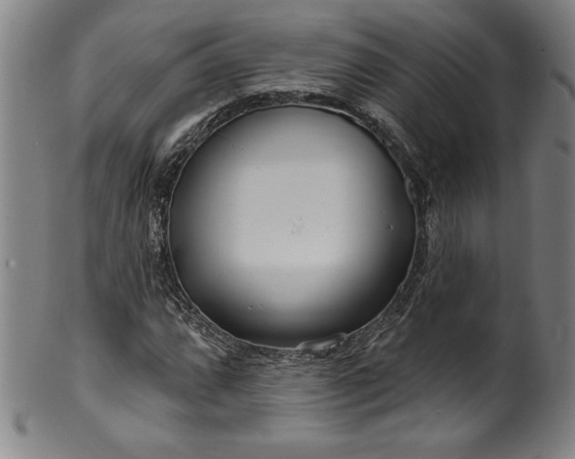 X0000099971064200806061624