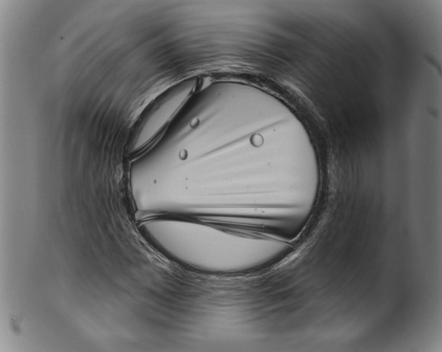 X0000099971065200806061624