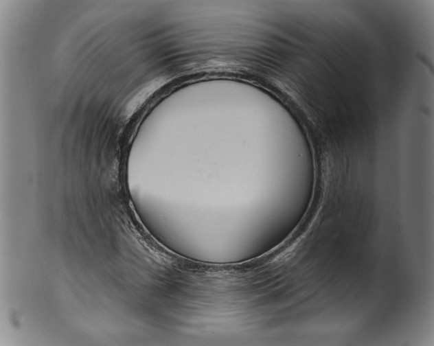 X0000099971066200806061624