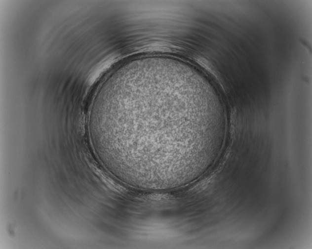 X0000099971067200806061624