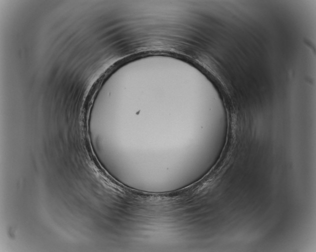 X0000099971068200806061624