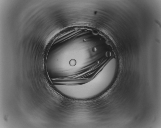 X0000099971069200806061624