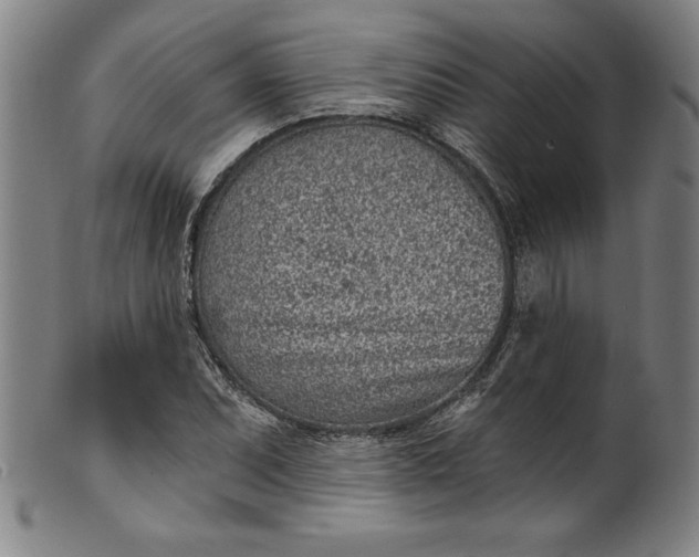 X0000099971071200806061624