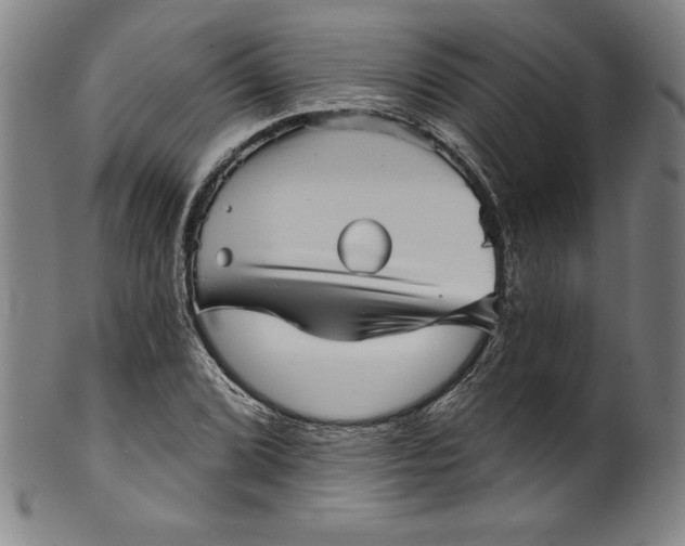 X0000099971072200806061624