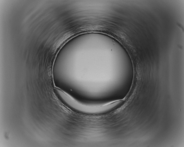 X0000099971073200806061624