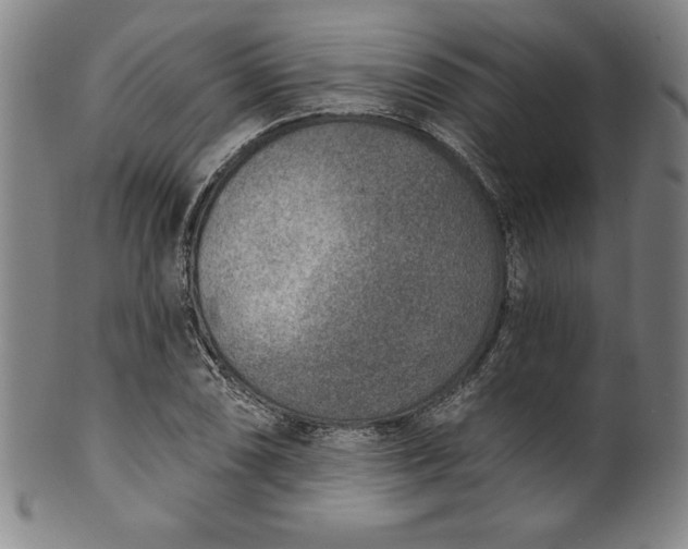 X0000099971074200806061624