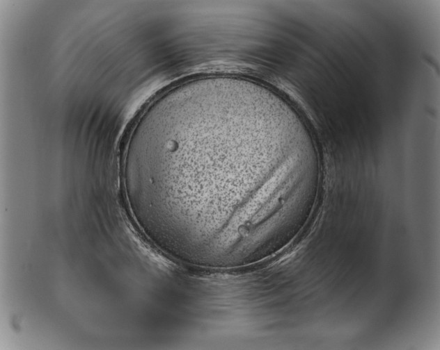 X0000099971075200806061624