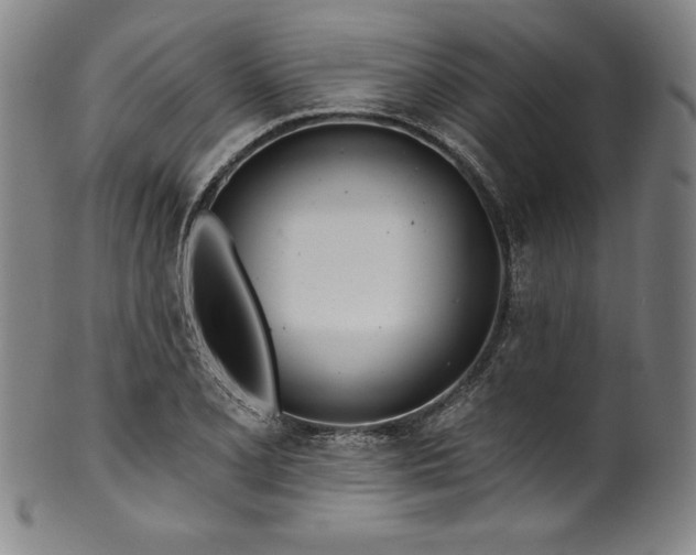 X0000099971077200806061624