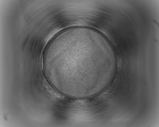 X0000099971078200806061624