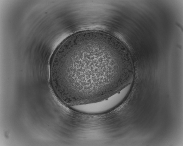 X0000099971079200806061624