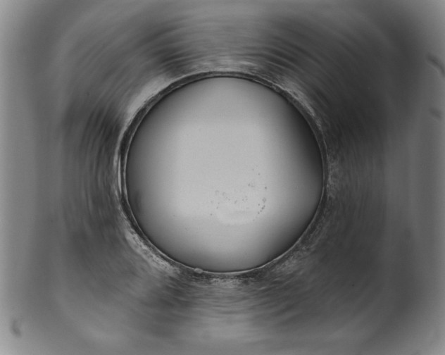 X0000099971080200806061624