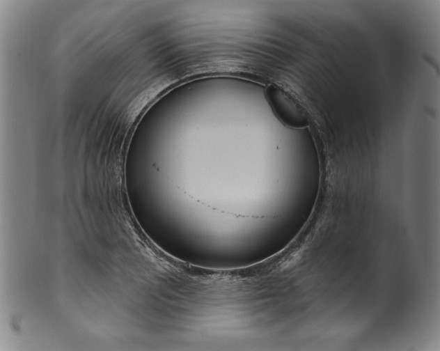 X0000099971081200806061624