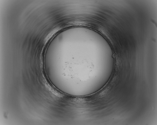 X0000099971082200806061624