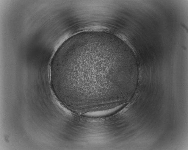 X0000099971083200806061624