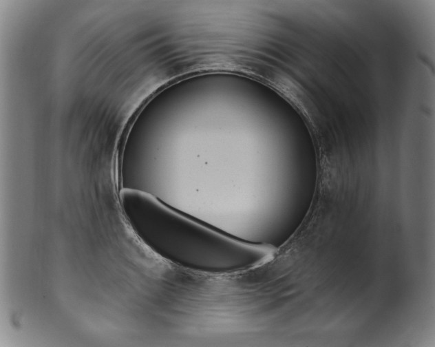 X0000099971084200806061624