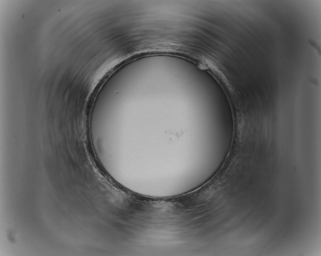 X0000099971085200806061624