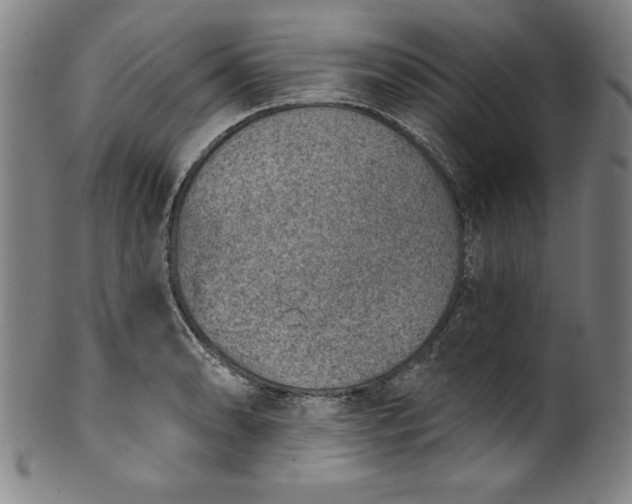 X0000099971086200806061624