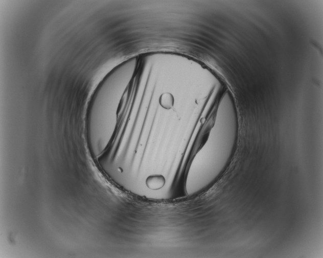 X0000099971088200806061624