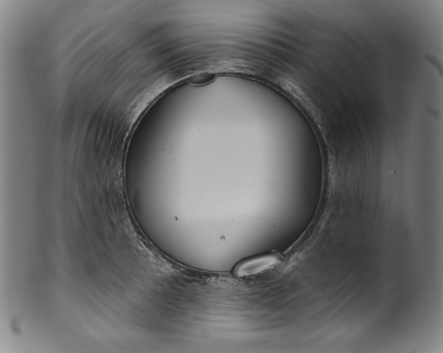 X0000099971089200806061624