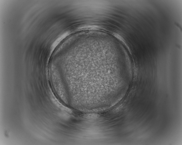 X0000099971090200806061624