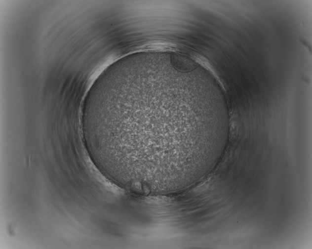 X0000099971091200806061624