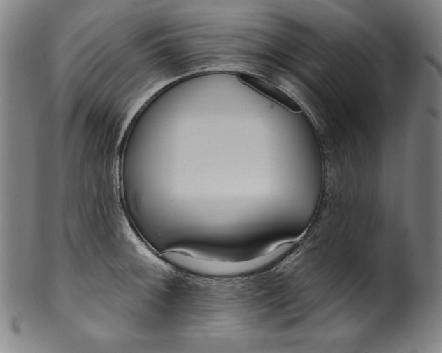 X0000099971092200806061624