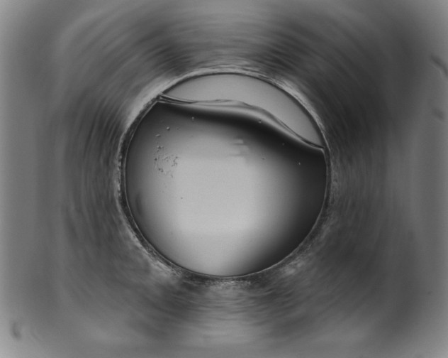 X0000099971093200806061624