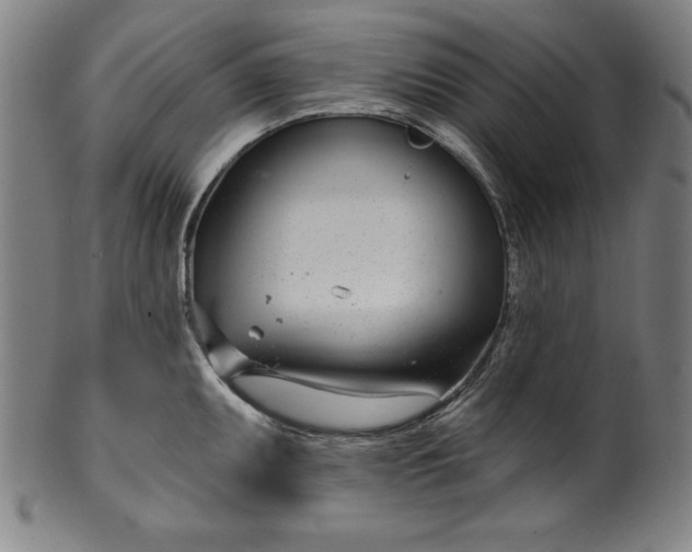 X0000099971095200806061624