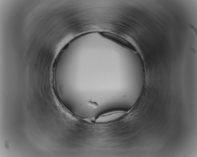 X0000099971096200806061624