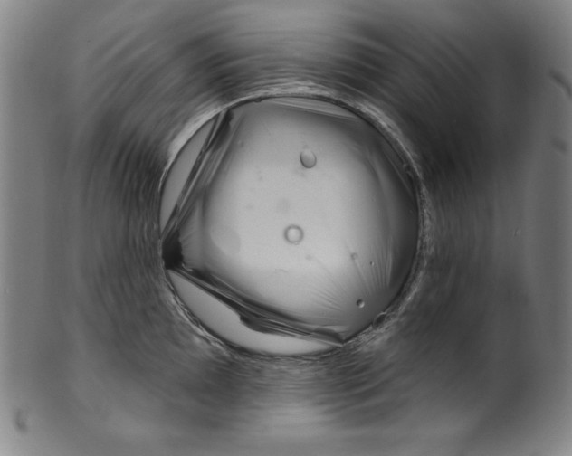 X0000099971097200806061624